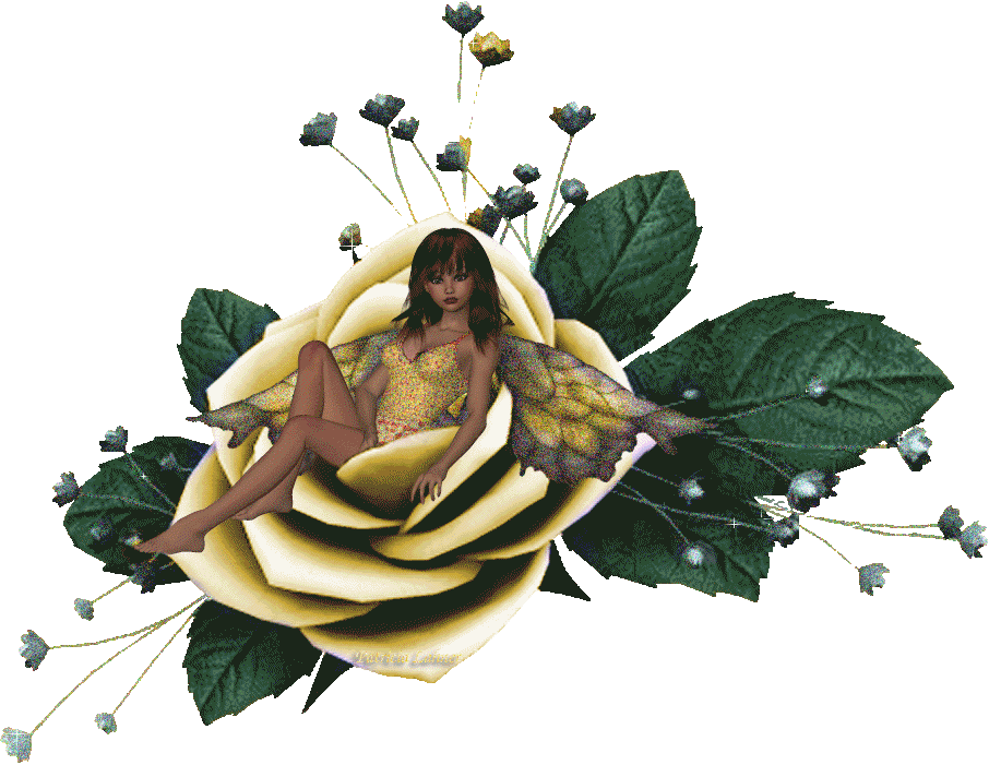 Image h�berg�e par Casimages.com : votre h�bergeur d images simple et gratuit