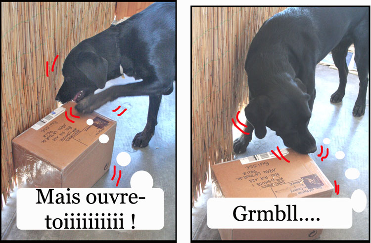 Image h�berg�e par Casimages.com : votre h�bergeur d images simple et gratuit