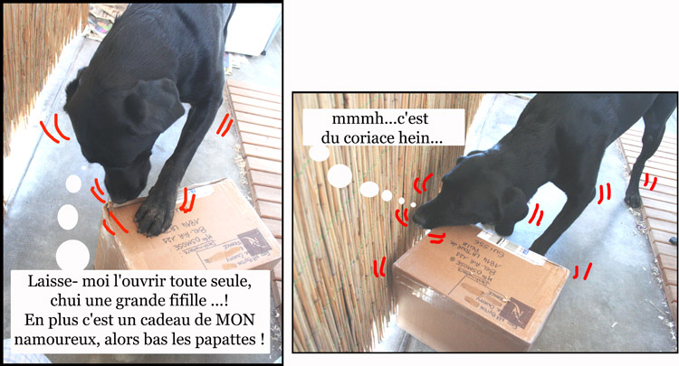 Image h�berg�e par Casimages.com : votre h�bergeur d images simple et gratuit