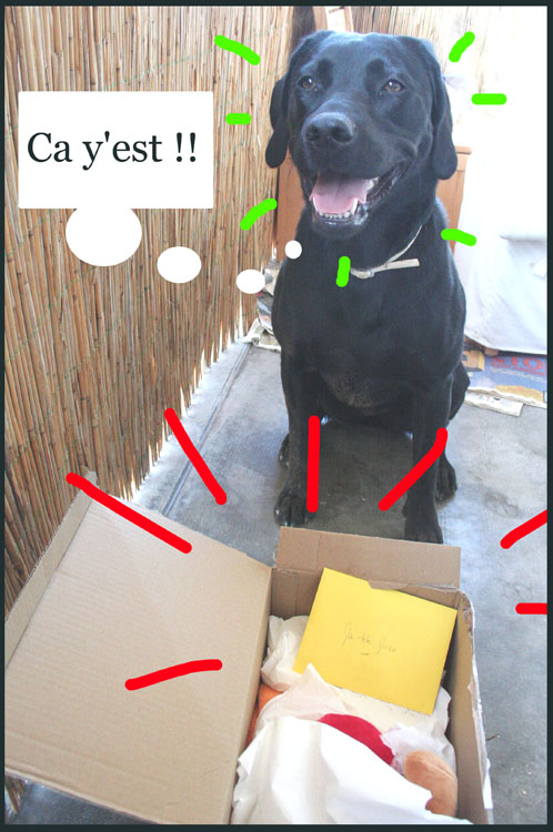 Image h�berg�e par Casimages.com : votre h�bergeur d images simple et gratuit