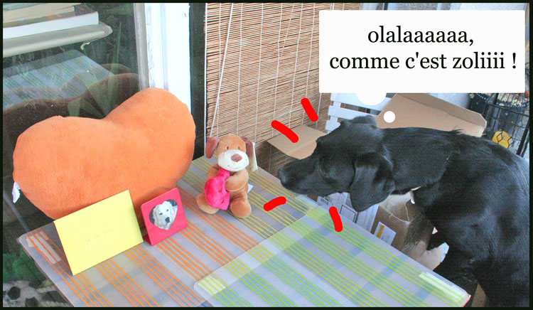 Image h�berg�e par Casimages.com : votre h�bergeur d images simple et gratuit