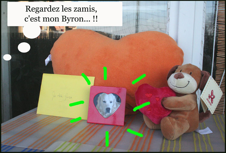 Image h�berg�e par Casimages.com : votre h�bergeur d images simple et gratuit