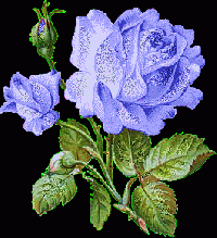 Hebergement gratuit d image et photo