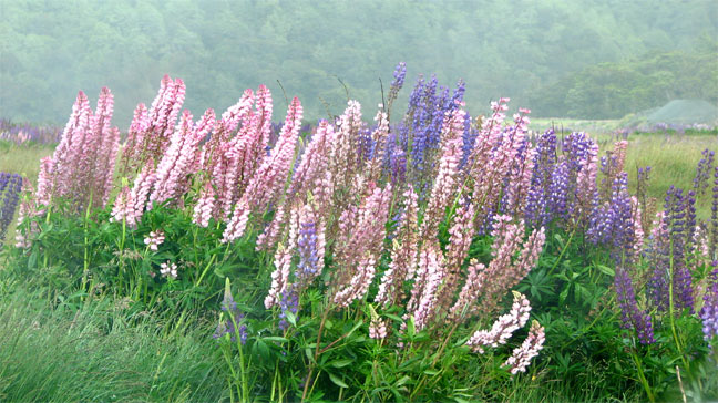 Image hébergée par Casimages.com : votre hébergeur d images simple et gratuit