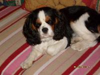 Hebergement gratuit d image et photo