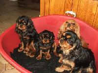 Hebergement gratuit d image et photo