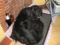 Hebergement gratuit d image et photo