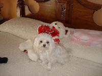 Hebergement gratuit d image et photo