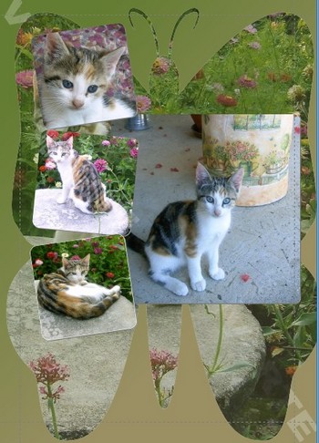 Image hébergée par Casimages.com : votre hébergeur d images simple et gratuit