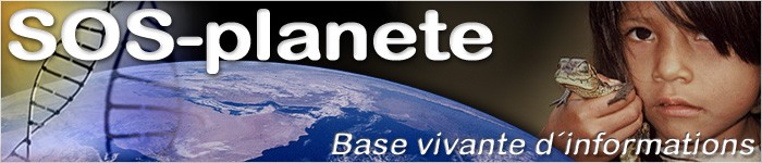 Image hébergée par Casimages.com : votre hébergeur d images simple et gratuit