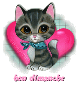 Image h�berg�e par Casimages.com : votre h�bergeur d images simple et gratuit