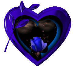 Image h�berg�e par Casimages.com : votre h�bergeur d images simple et gratuit