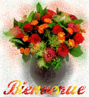http://nsm01.casimages.com/img/2008/02/17//08021704153386921729547.gif