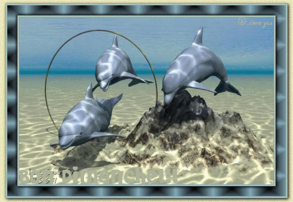 Image h�berg�e par Casimages.com : votre h�bergeur d images simple et gratuit