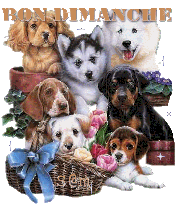 Image h�berg�e par Casimages.com : votre h�bergeur d images simple et gratuit