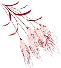 Image hébergée par Casimages.com : votre hébergeur d images simple et gratuit