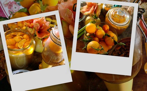 Image hébergée par Casimages.com : votre hébergeur d images simple et gratuit