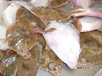 Hebergement gratuit d image et photo