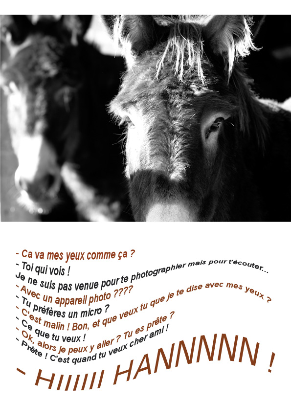Image hébergée par Casimages.com : votre hébergeur d images simple et gratuit