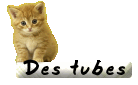 Image hébergée par Casimages.com : votre hébergeur d images simple et gratuit