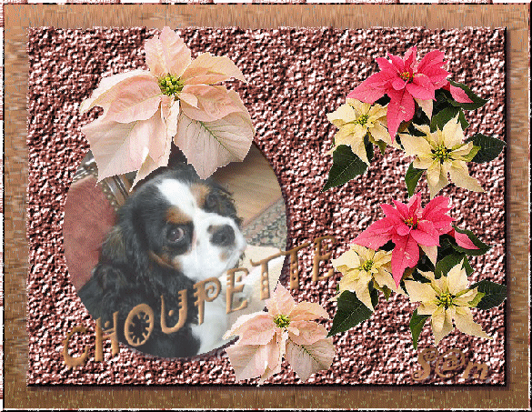 Image h�berg�e par Casimages.com : votre h�bergeur d images simple et gratuit