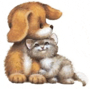 Image h&eacute;berg&eacute;e par Casimages.com : votre h&eacute;bergeur d images simple et gratuit