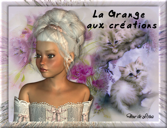 Image hébergée par Casimages.com : votre hébergeur d images simple et gratuit
