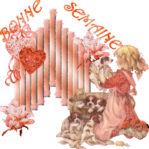 Image h�berg�e par Casimages.com : votre h�bergeur d images simple et gratuit