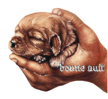 Image hébergée par Casimages.com : votre hébergeur d images simple et gratuit