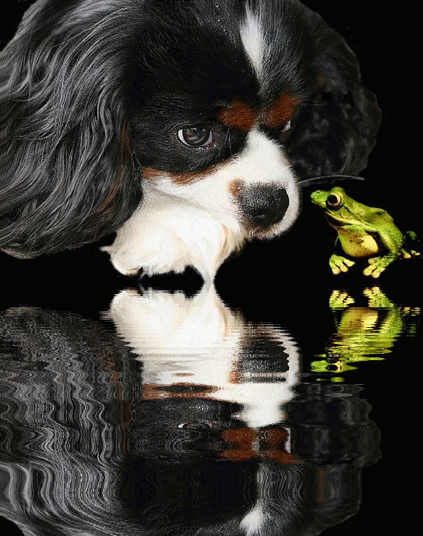 Image h�berg�e par Casimages.com : votre h�bergeur d images simple et gratuit