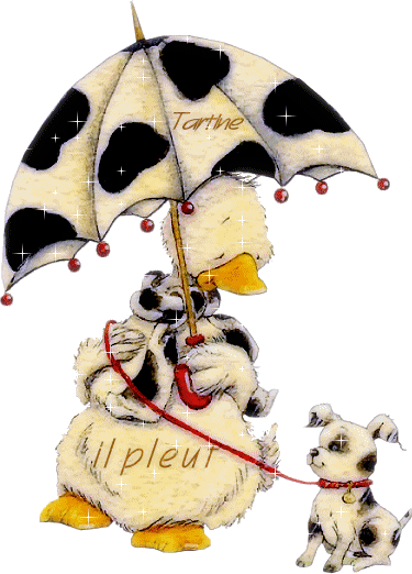 Image h�berg�e par Casimages.com : votre h�bergeur d images simple et gratuit