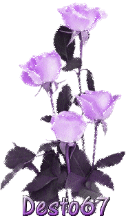 Image hébergée par Casimages.com : votre hébergeur d images simple et gratuit