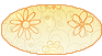 Forum Verrouill�