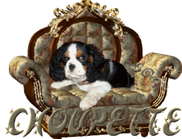 Image hberge par Casimages.com : votre hbergeur d images simple
et gratuit