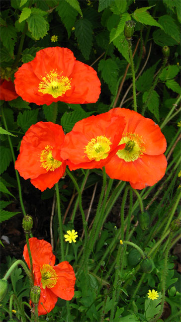 Image hébergée par Casimages.com : votre hébergeur d images simple et gratuit