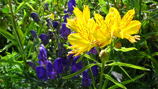 Image hébergée par Casimages.com : votre hébergeur d images simple et gratuit