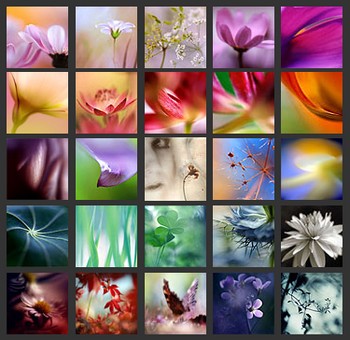 Photographies de Sophie Touvenin