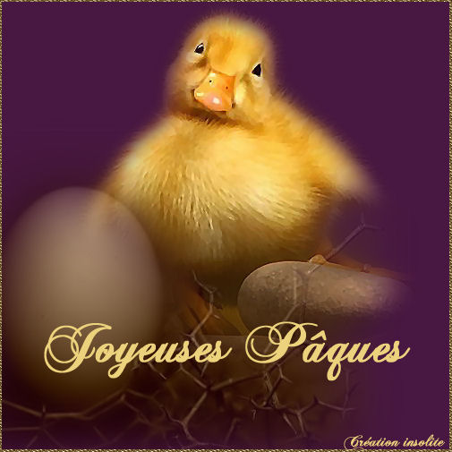 Image h&eacute;berg&eacute;e par Casimages.com : votre h&eacute;bergeur d images simple et gratuit