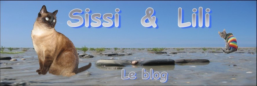 Image hébergée par Casimages.com : votre hébergeur d images simple et gratuit