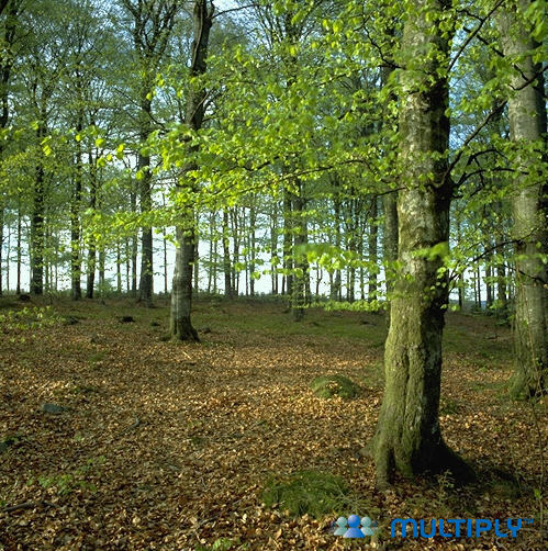 Image h&eacute;berg&eacute;e par Casimages.com : votre h&eacute;bergeur d images simple et gratuit