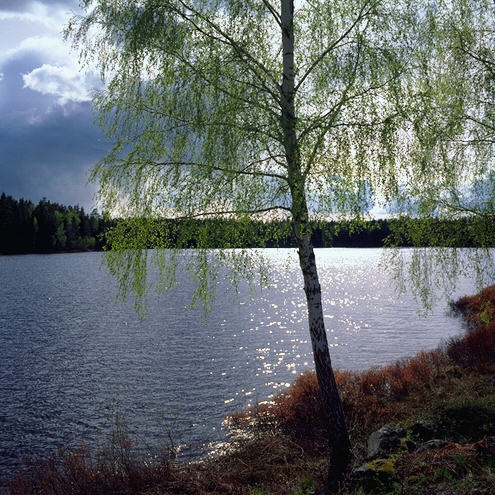 Image h&eacute;berg&eacute;e par Casimages.com : votre h&eacute;bergeur d images simple et gratuit