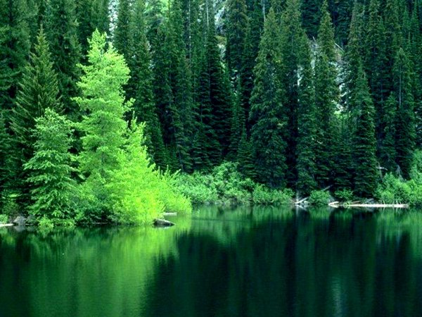 Image h&eacute;berg&eacute;e par Casimages.com : votre h&eacute;bergeur d images simple et gratuit