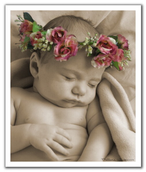 Image h&eacute;berg&eacute;e par Casimages.com : votre h&eacute;bergeur d images simple et gratuit