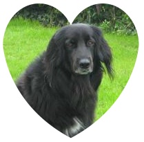 Image h�berg�e par Casimages.com : votre h�bergeur d images simple et gratuit