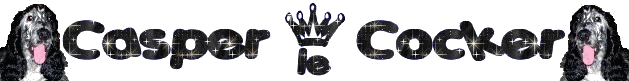 Image h�berg�e par Casimages.com : votre h�bergeur d images simple et gratuit