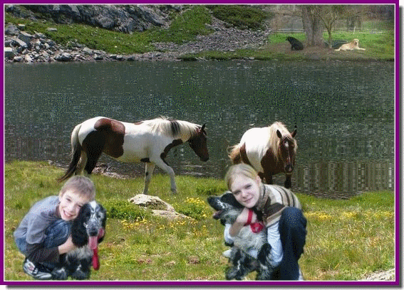 Image h�berg�e par Casimages.com : votre h�bergeur d images simple et gratuit