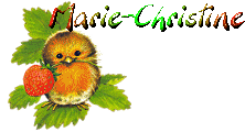 Image hébergée par Casimages.com : votre hébergeur d images simple et gratuit