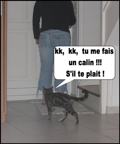 Image hébergée par Casimages.com : votre hébergeur d images simple et gratuit