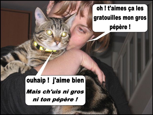 Image hébergée par Casimages.com : votre hébergeur d images simple et gratuit