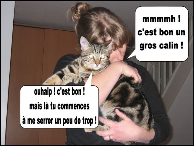 Image hébergée par Casimages.com : votre hébergeur d images simple et gratuit